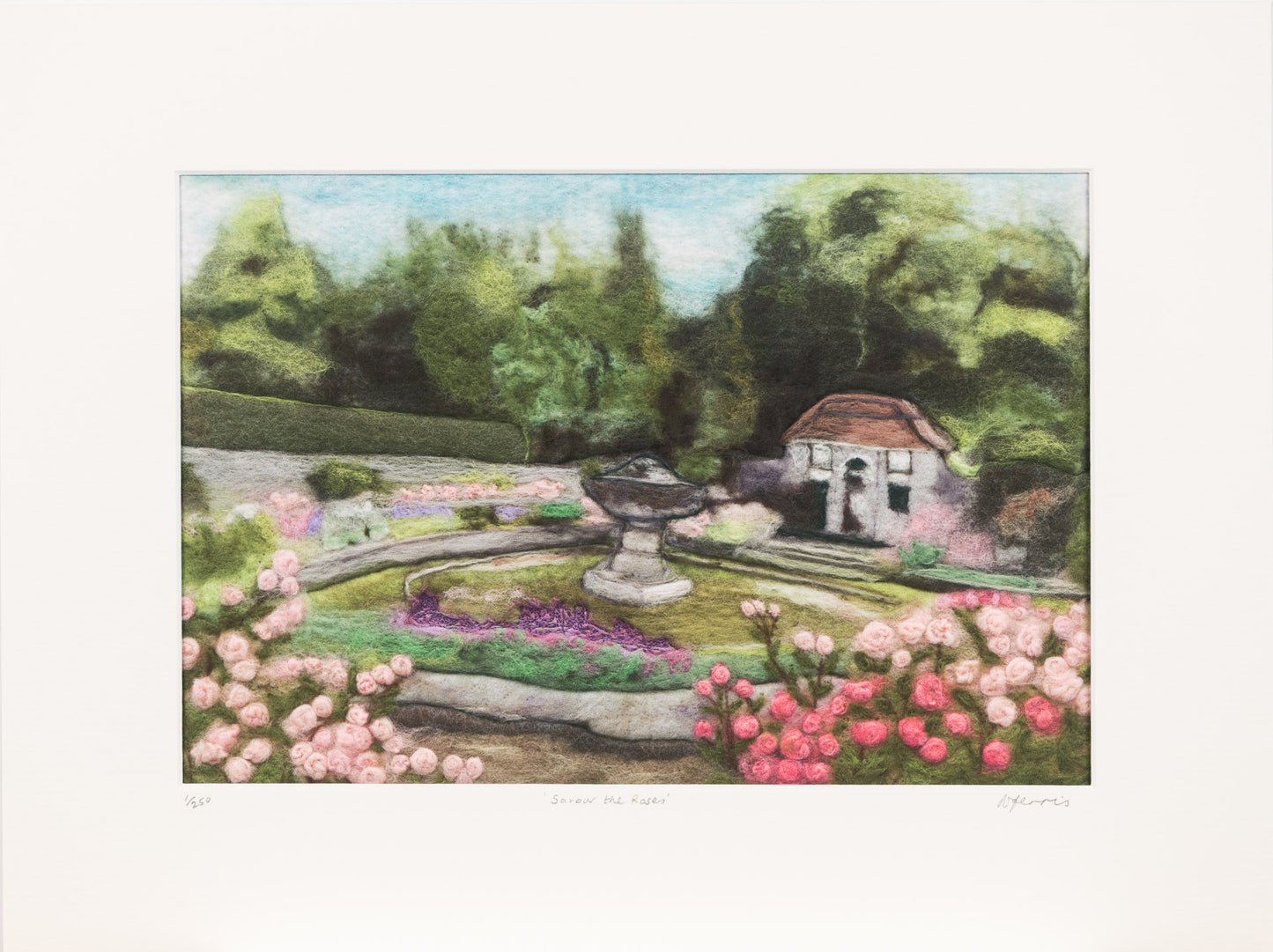 ‘Savour the Roses’ Fine Art Print